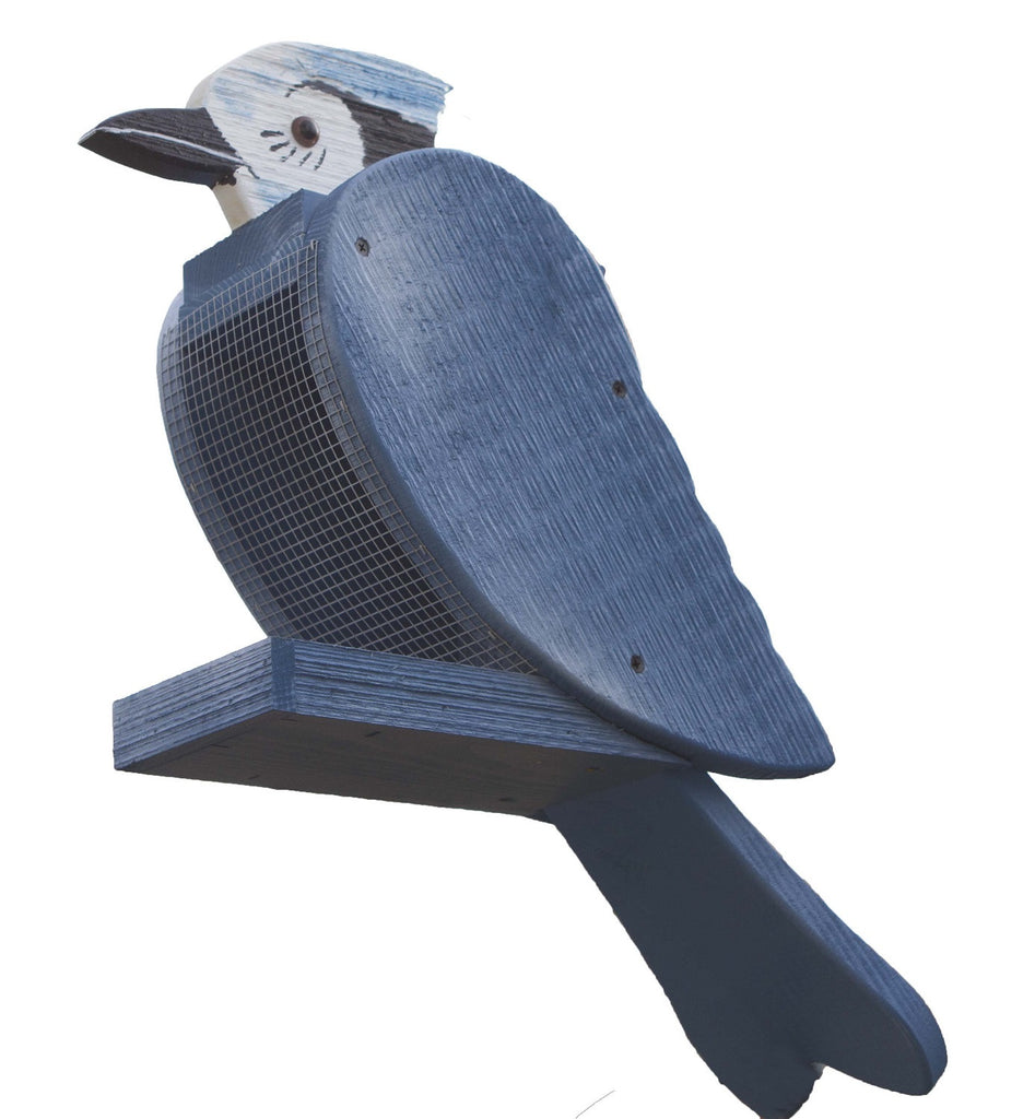 Facts About Blue Jays Blue Jay Bird Feeder Blue Jay Bird Backyard