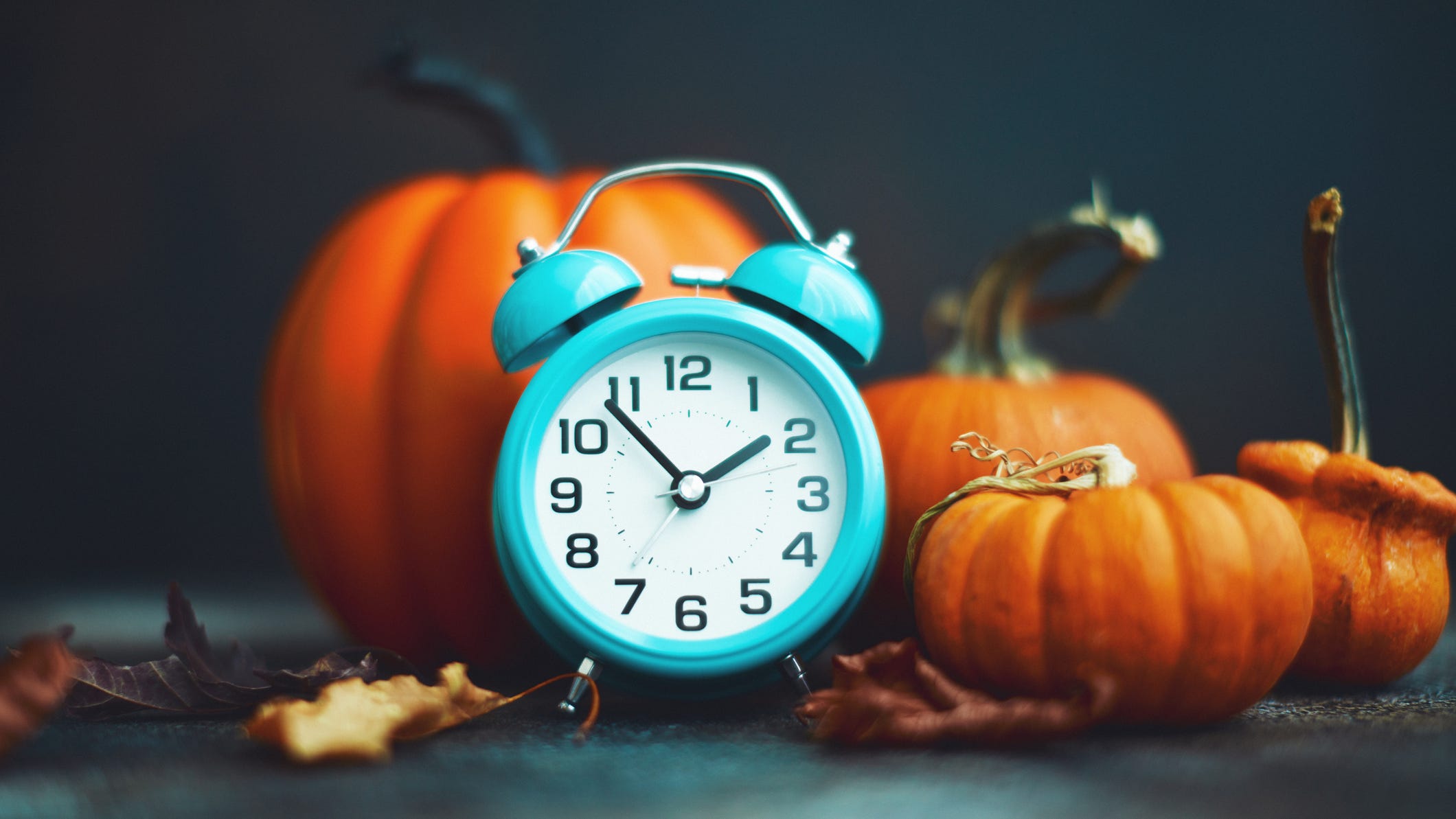 Fall Back Time Change 2024 When Does Daylight Saving Time End