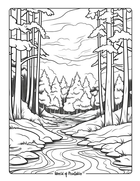 Forest Coloring Pages