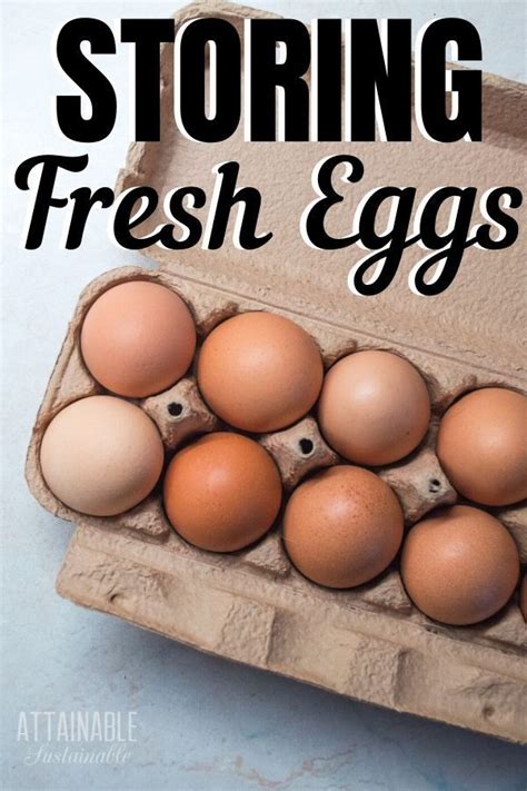 Fresh Egg Storage: Lasts Longer Safely