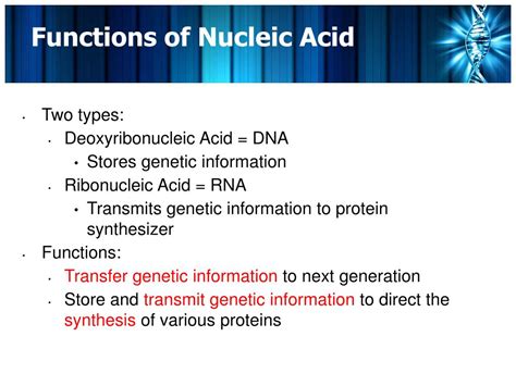 Functions Of Nucleic Acids