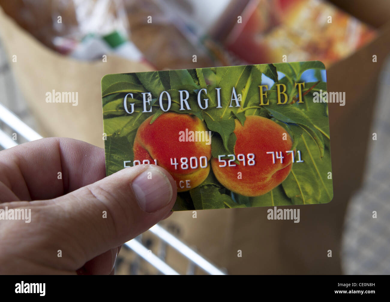 Ga Food Stamp Balance