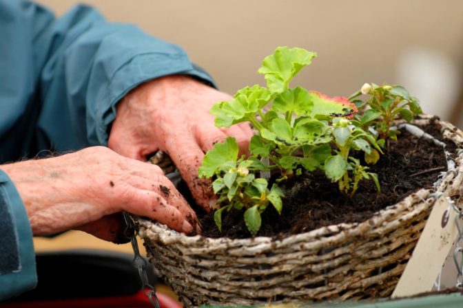 Gardening Advice Thrive