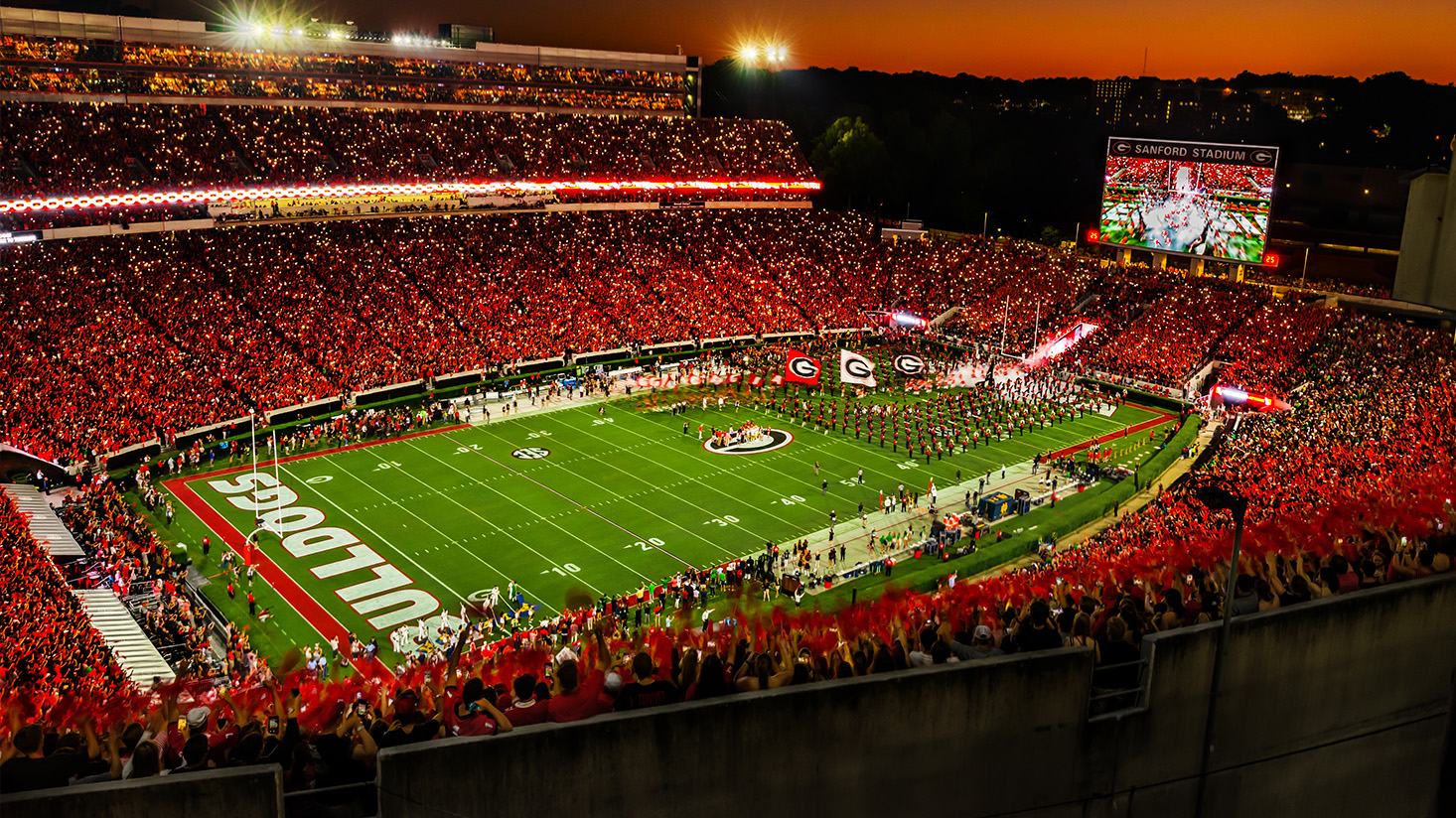 Georgia Bulldogs Football Game