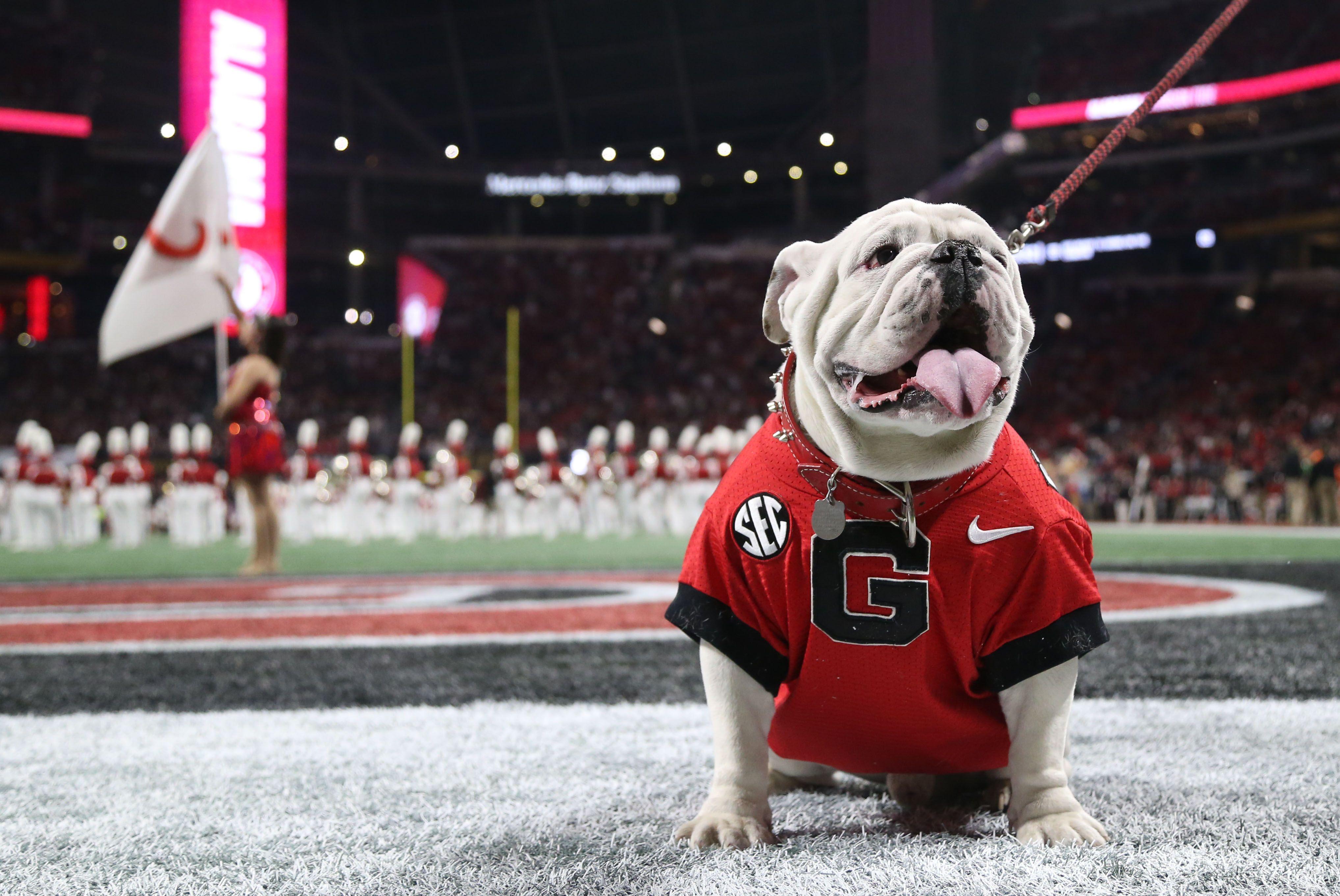 Georgia Bulldogs: Get Latest Player Updates