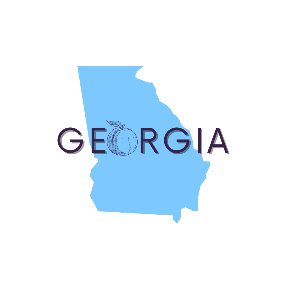 Georgia Sales Tax Guide