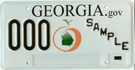 Georgia Tag Renewal