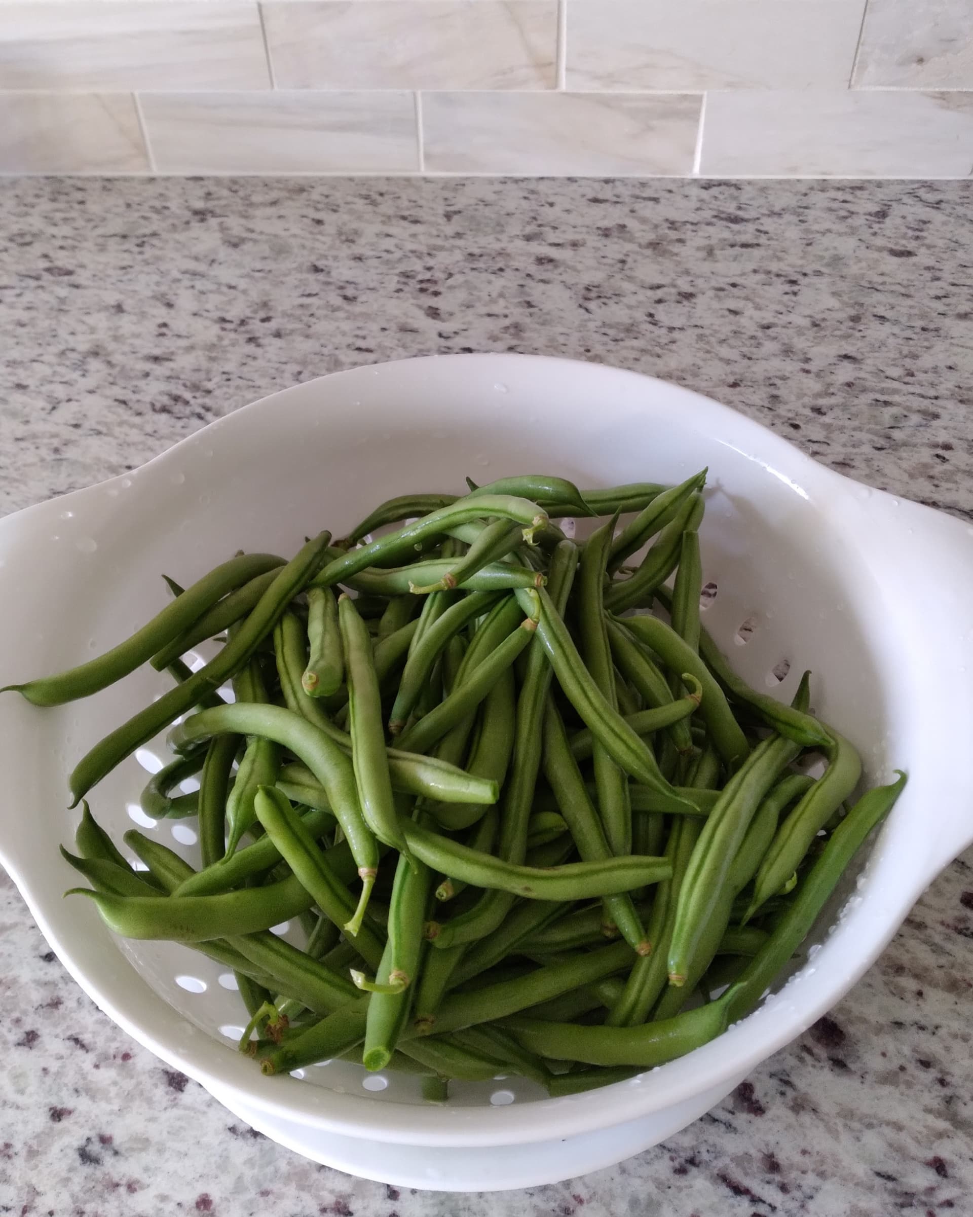 Growing Green Beans Thriftyfun