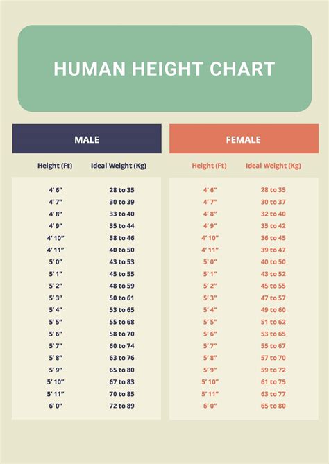 Height In Feet: 1.70M Calculator Guide