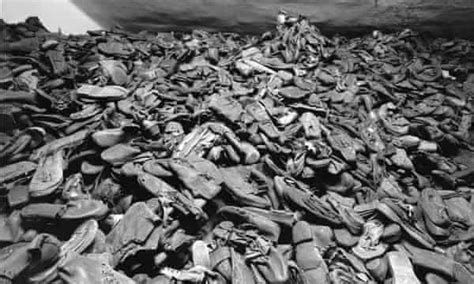 Holocaust Death Toll: Historical Facts Revealed