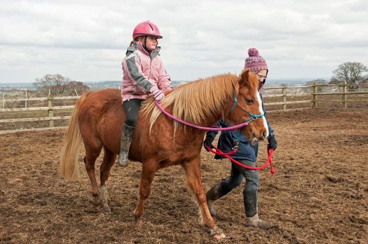 Horse Riding For Beginners 10 Tips To Stay Safe Have Fun Animals Healthy Recipes Riding