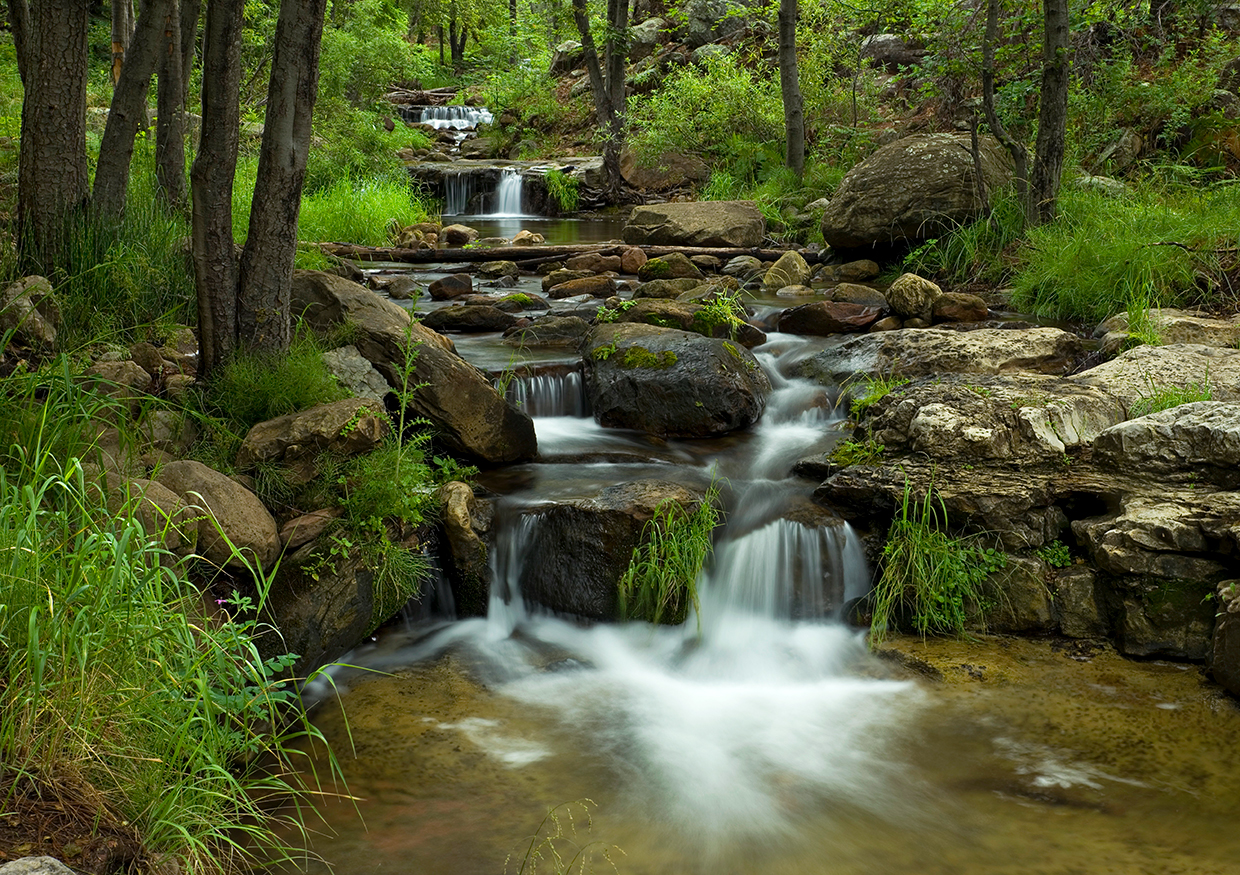 Horton Creek Trail One Of The Best Starter Hikes In Arizona Tonto National Forest Payson