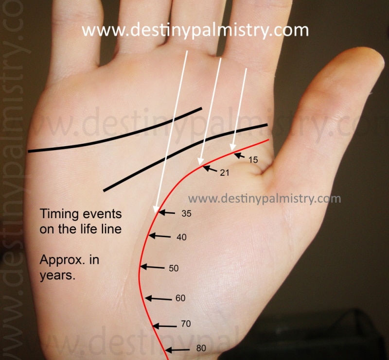 How Accurate Is Palmistry? Your Life Guide