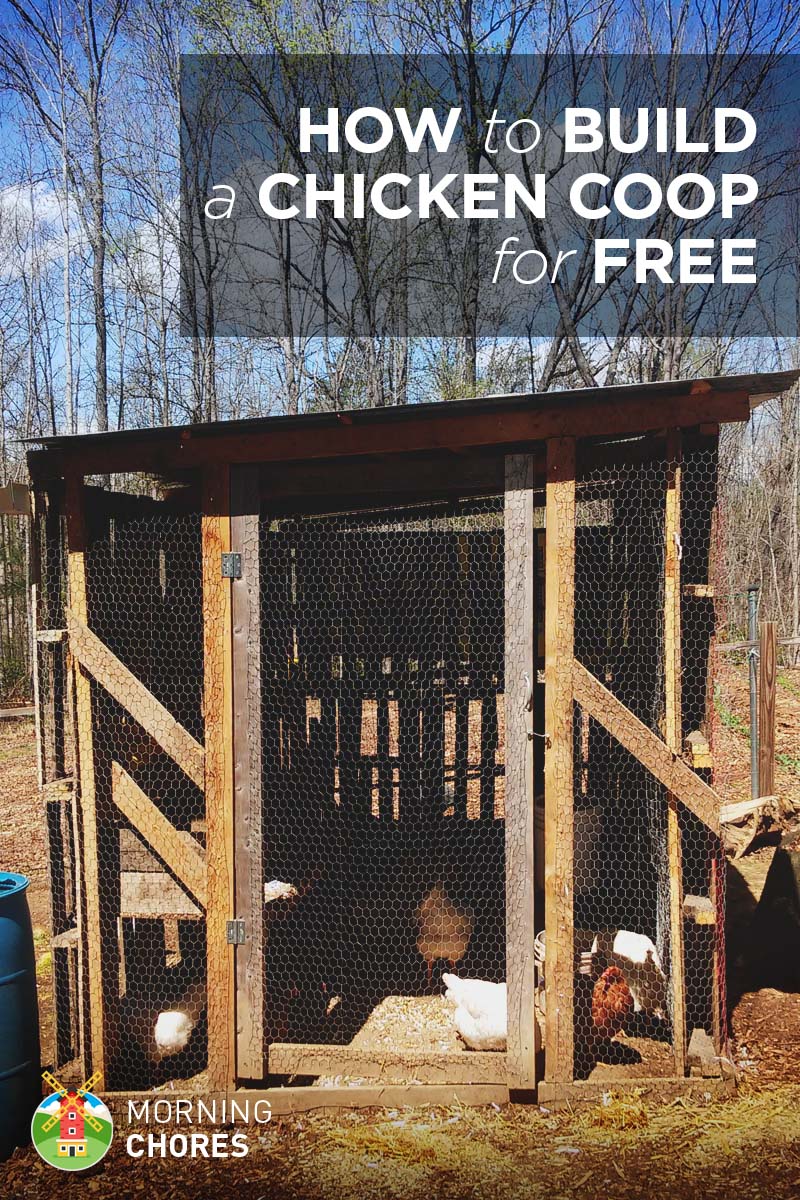 How Do Build A Chicken Coop At John Cameron Blog