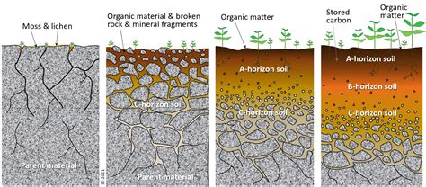 How Is Soil Formed