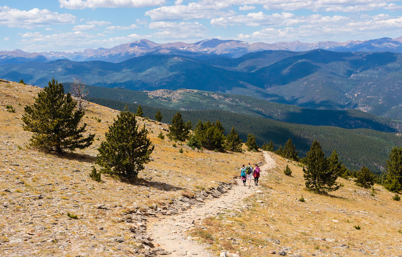 How Long Is Chief Mountain Trail? Plan Your Ascent