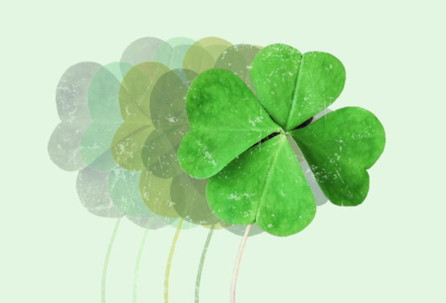 How Rare Is Four Leaf Clover? Increase Odds