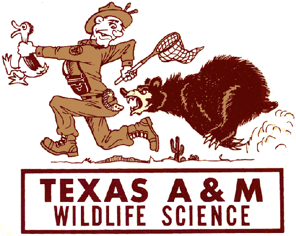 How To Apply On Tamu Wildlife Job Board? Easy Steps