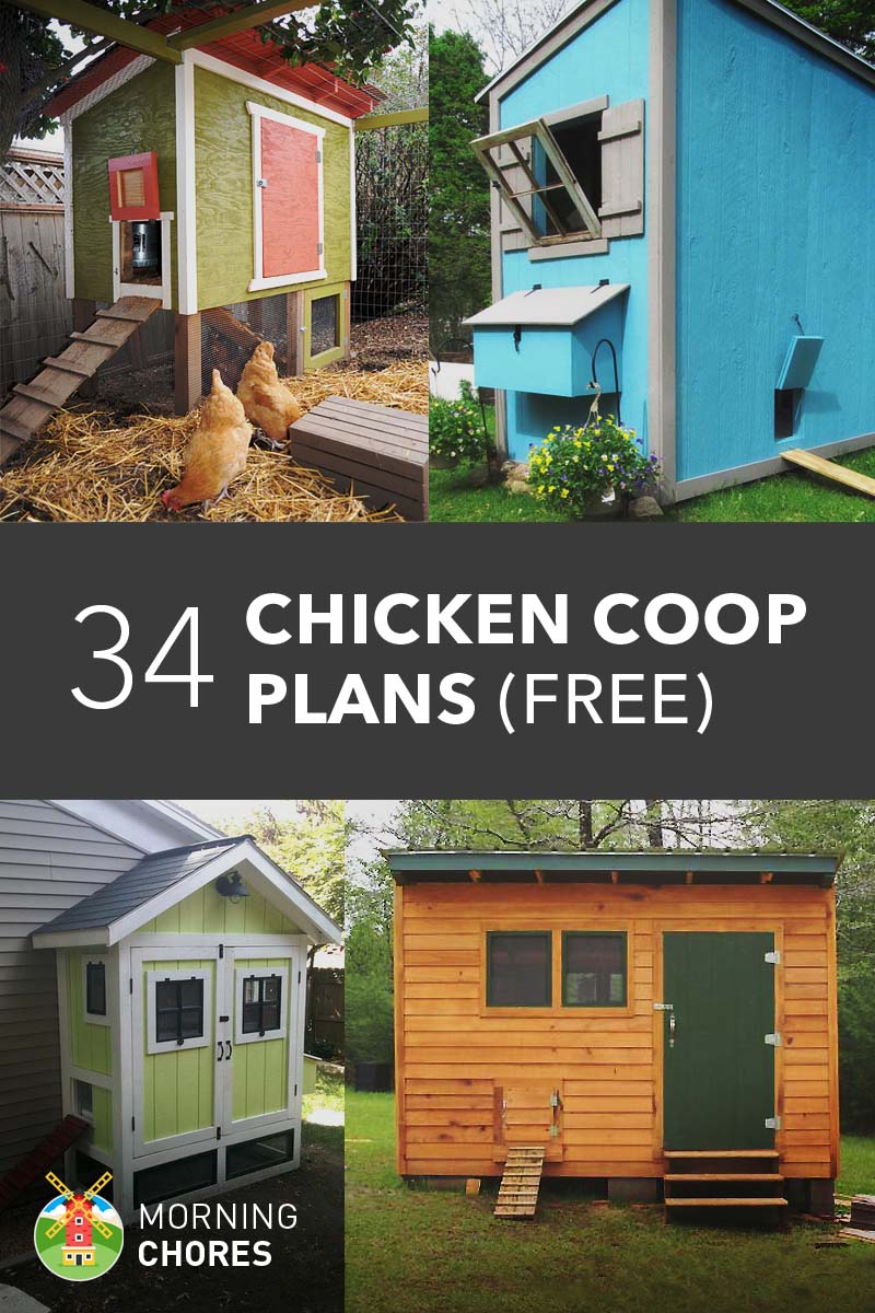 How To Build A Simple Chicken Coop Howtospecialist How To Build Step By Step Diy Plans