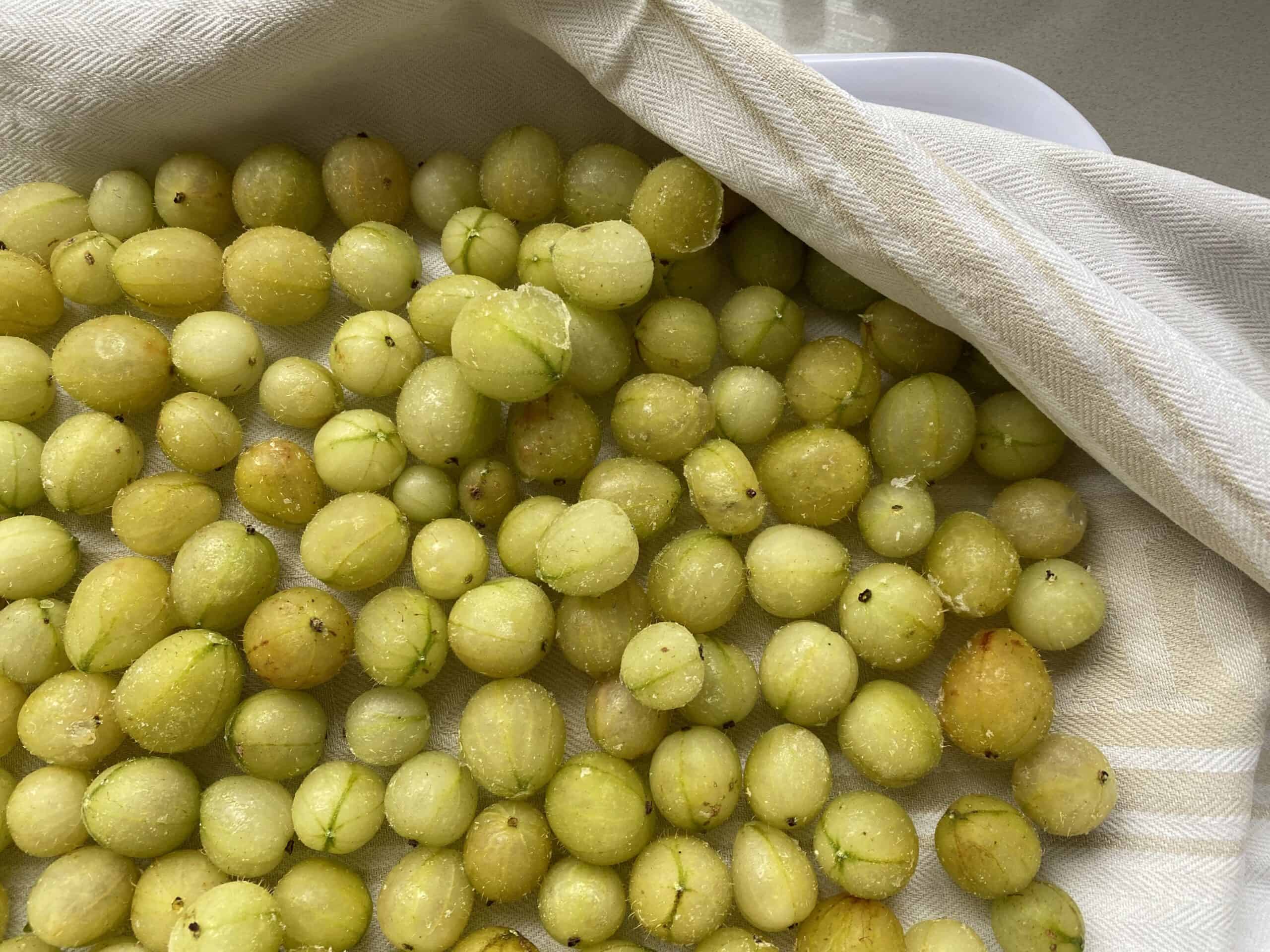 How To Freeze Gooseberries Everyday Baker