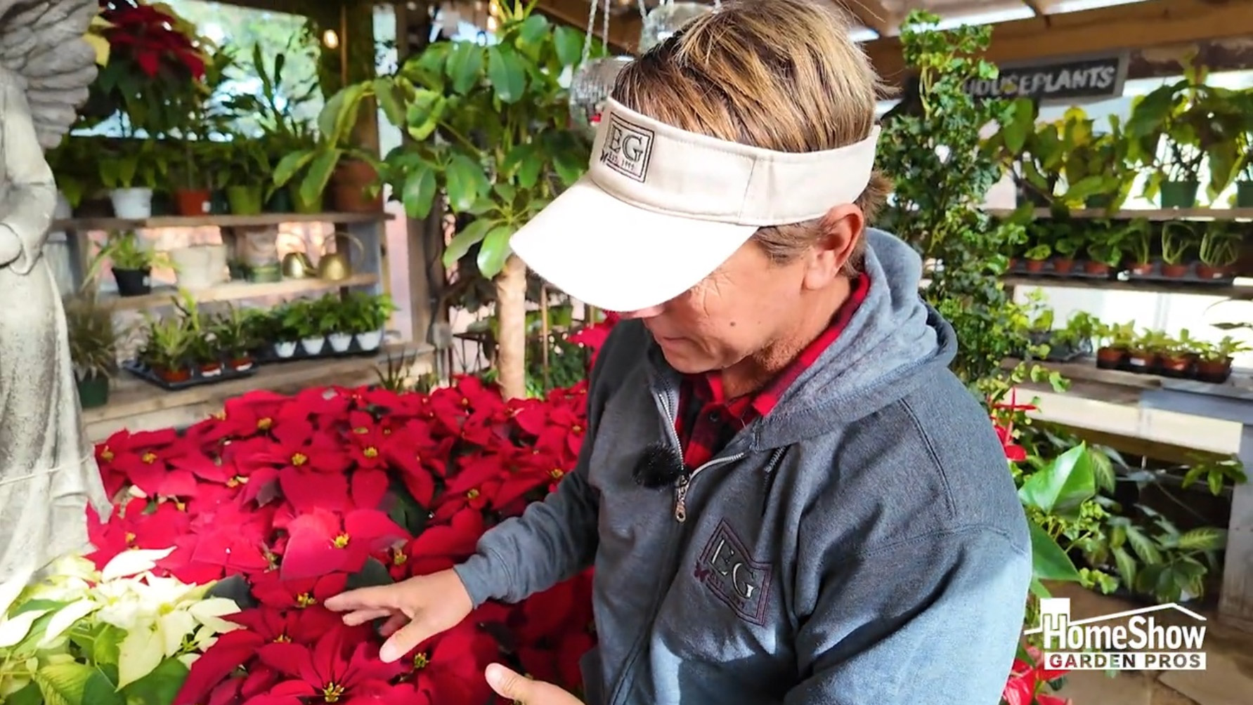 How To Make Poinsettias Last Longer So They Thrive Beyond Christmas