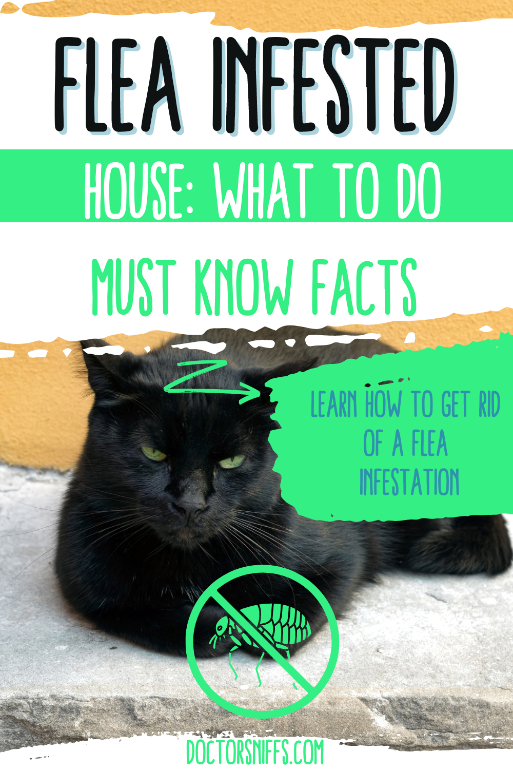 How To Tell How Bad A Flea Infestation Is Quick And Easy Guide