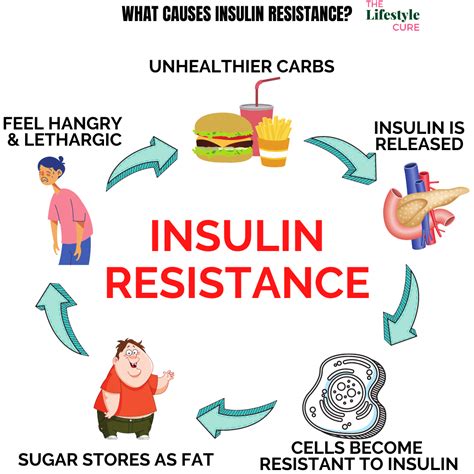 How To Treat Insulin Resistance