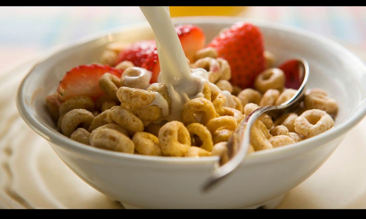 Iron Rich Cereals: Healthy Options For You