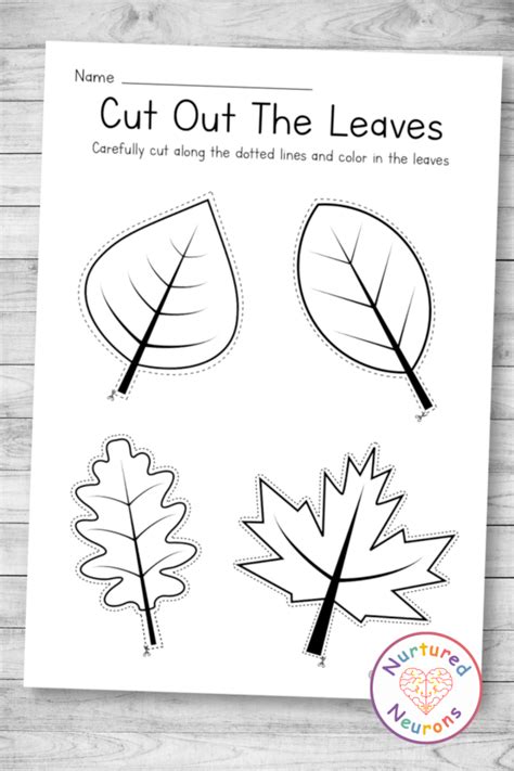 Leaf Cutting Practice Sheet Fall Cutting Worksheet Nurtured Neurons