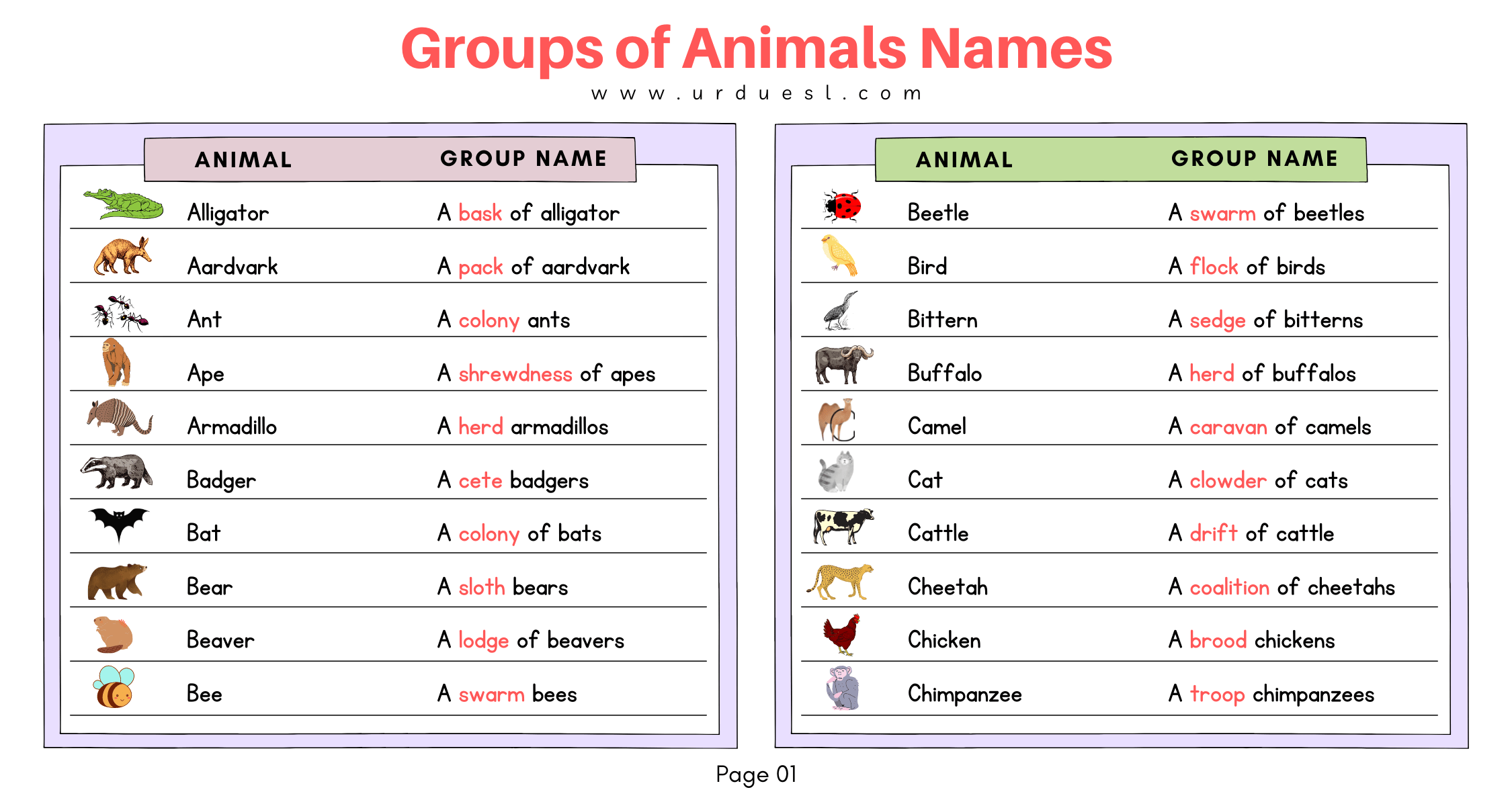 List Of Groups Of Animals Names With Images And Download Pdf