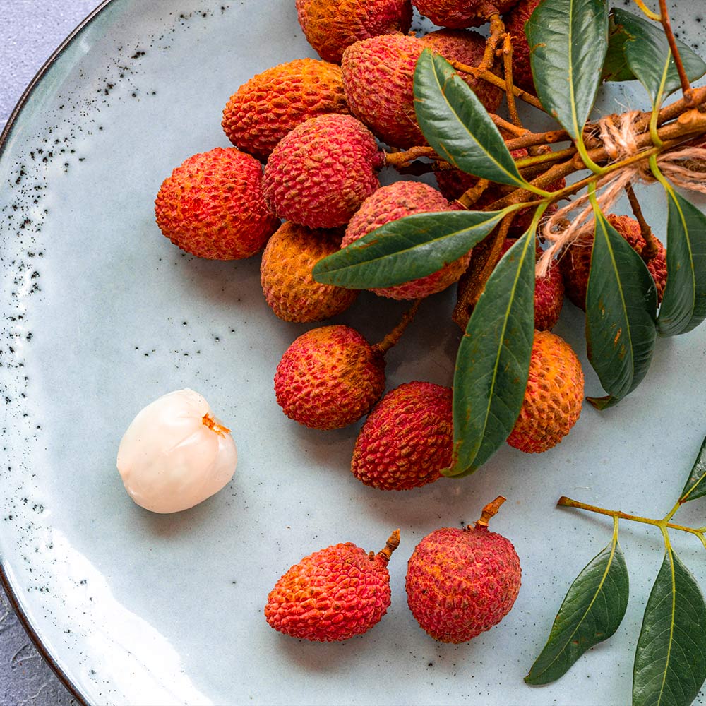 Lychee Tree: Fast Growing Variety