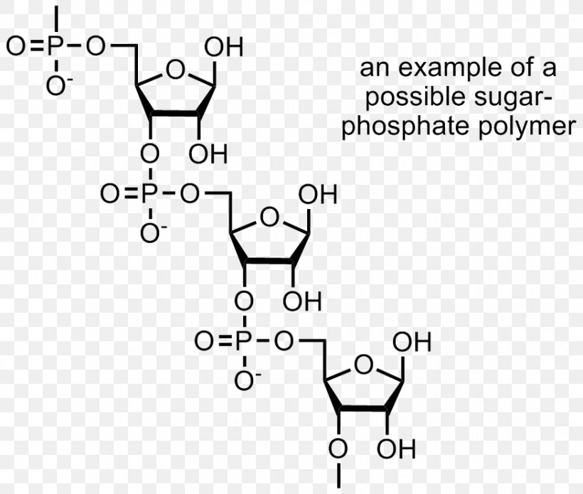 Macromolecule Polymer Monomer Ppt Download