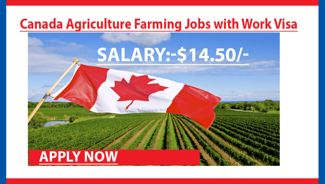 Most Demanding Agricultural Jobs In Canada I Farming In Canada I