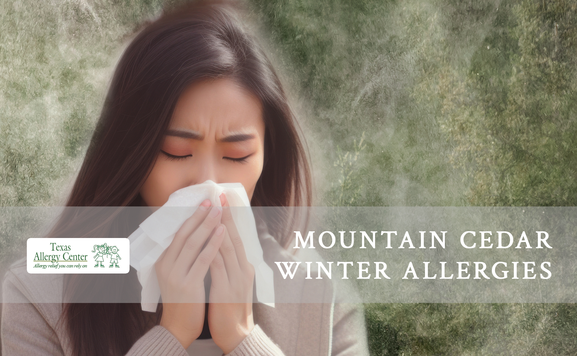 Mountain Cedar Winter Allergies Texas Allergy Center