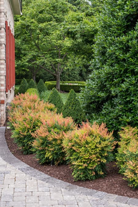 Nandina Gulf Stream: Year Round Color Solution