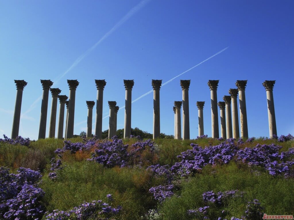 Original United States Capitol Columns At The National Arboretum