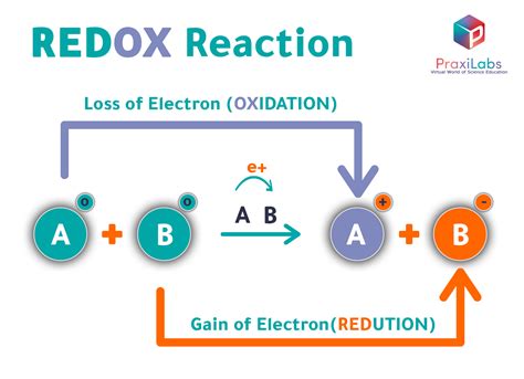 Oxidation And Reduction