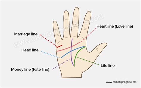 Palmistry Lines Reading