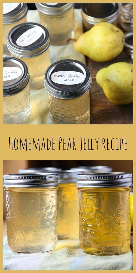 Pear Jelly Is Easy To Make And Delicious Way To Use Up A Surplus Of