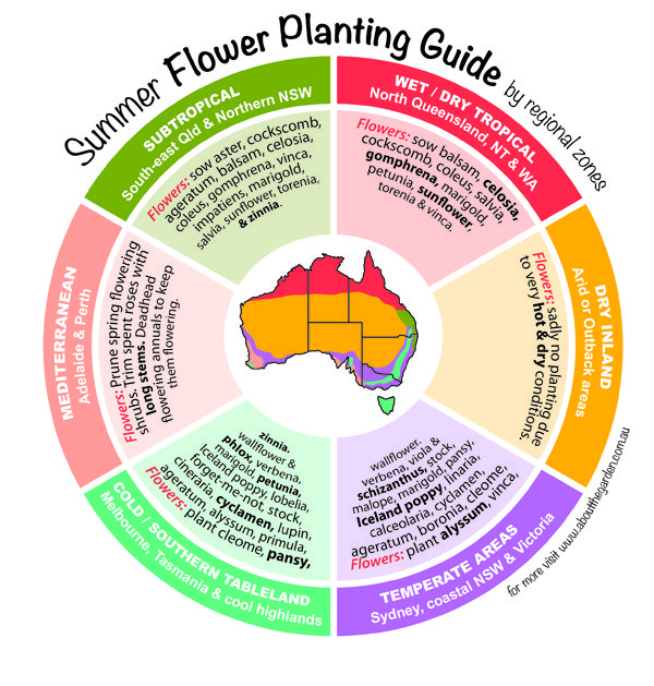 Planting Zones Guide: Optimal Planting