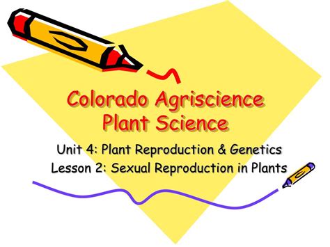 Ppt Colorado Agriscience Plant Science Powerpoint Presentation Free