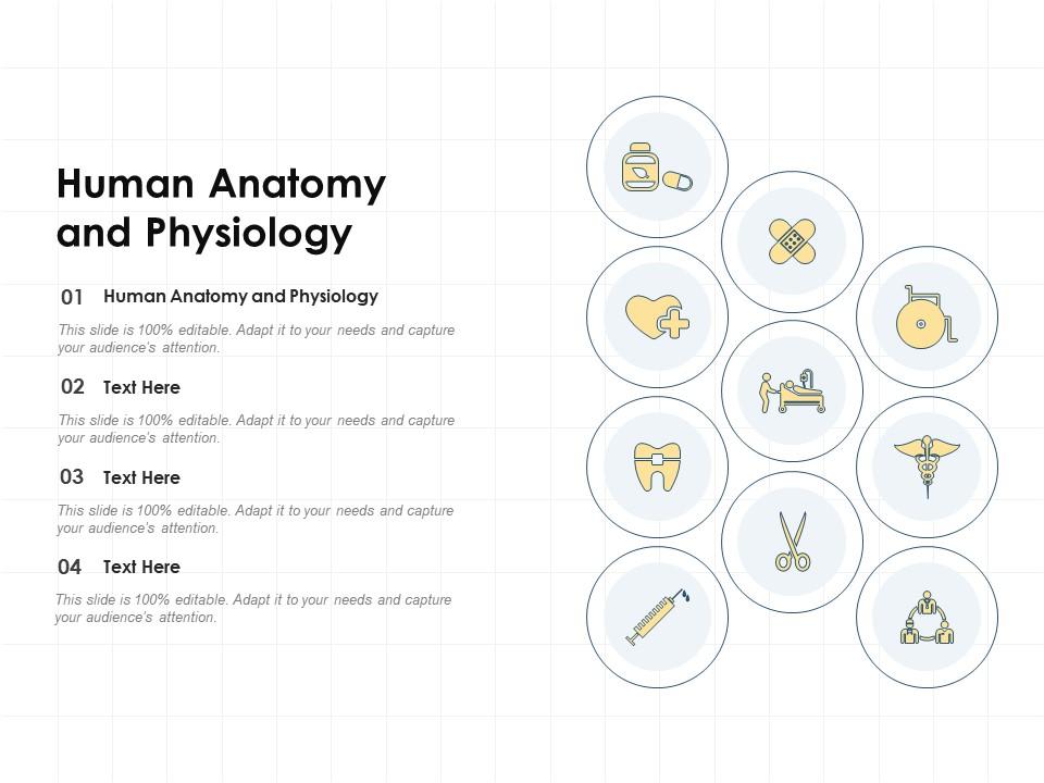 Ppt Human Anatomy And Physiology I Powerpoint Presentation Free