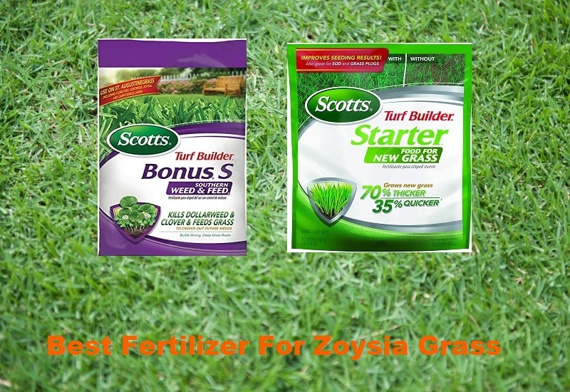 Proper Fertilizer For Grass