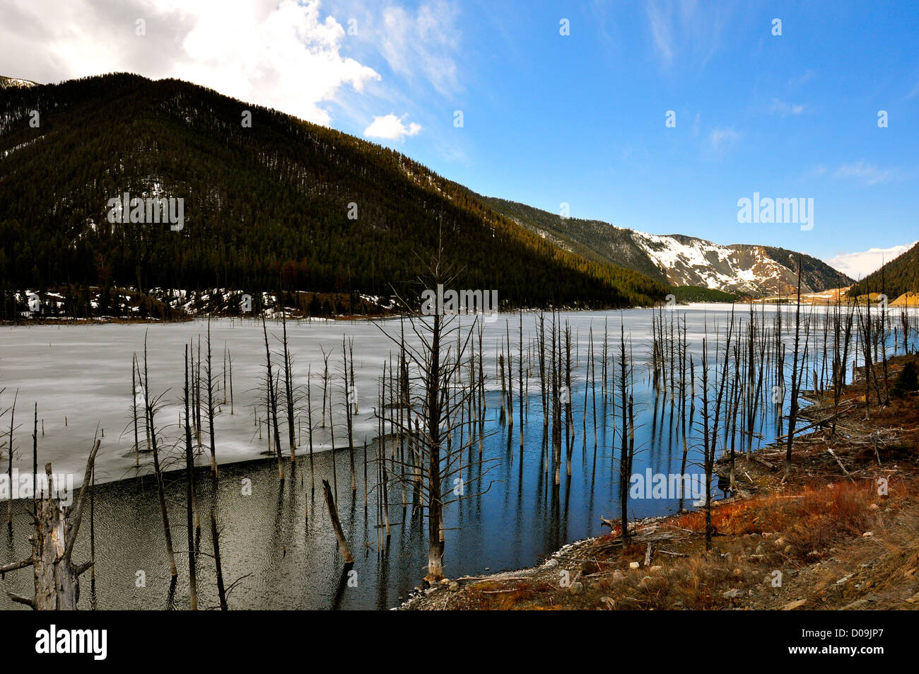 Quake Lake Montana Hi Res Stock Photography And Images Alamy