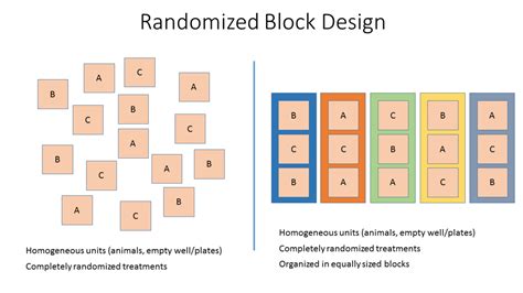 Randomized Block Design Guide: Optimize Experiments