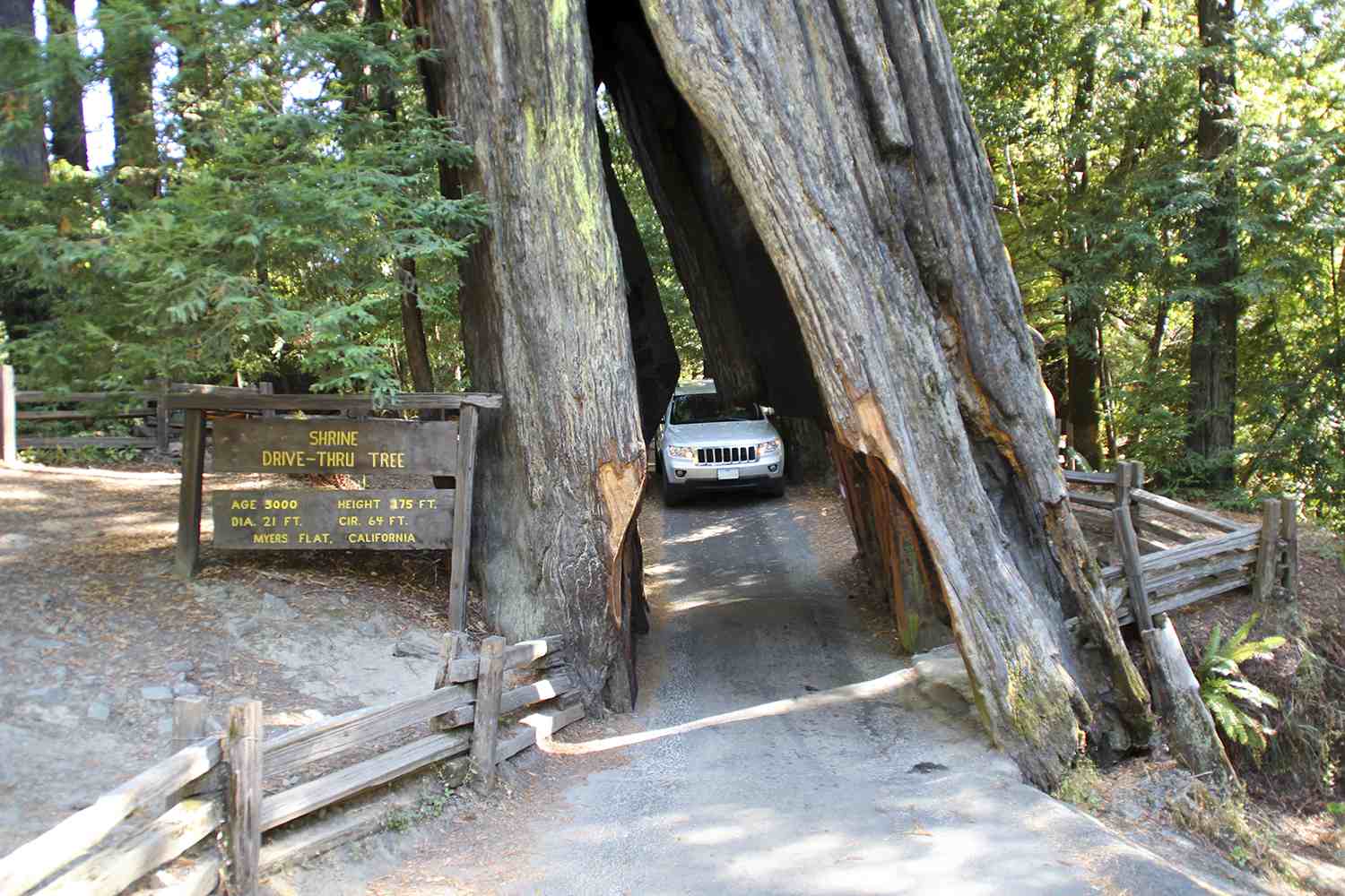 Redwood Highway Northern California S Most Scenic Drive