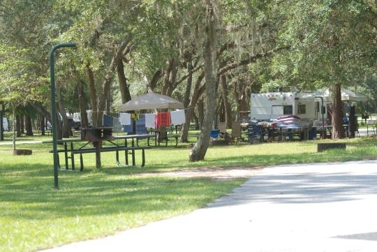 Salt Springs Campground: Book Your Dream Getaway