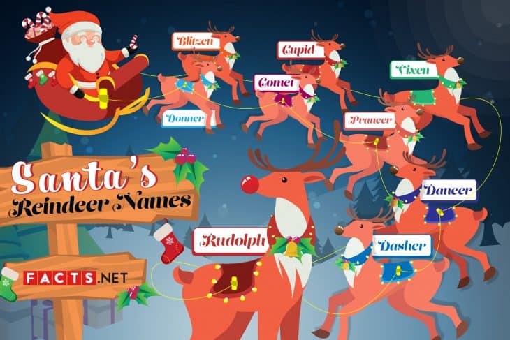 Santa's Reindeer Facts: Gender Revealed