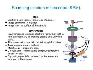 Scanning Electron Microscope Sem Principle Parts Uses Microbe Notes