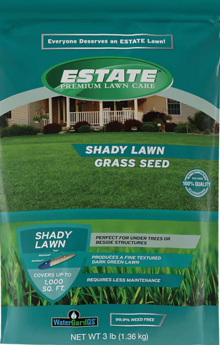 Shady Lawn Grass: Solves Darkness With Lush Growth